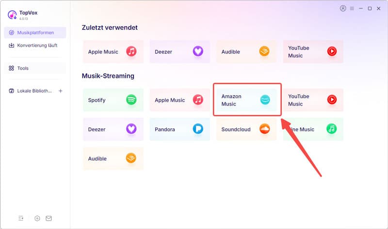 TopVox All Music Converter starten