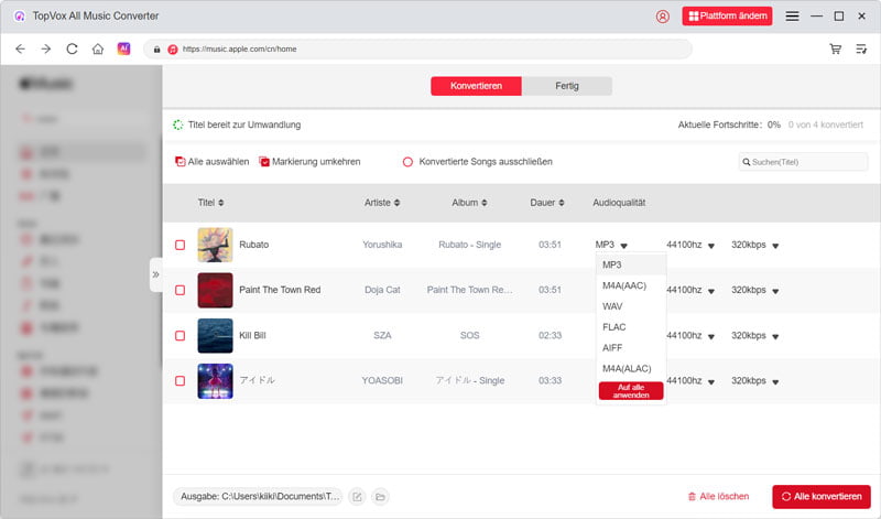 Audioformat auswählen