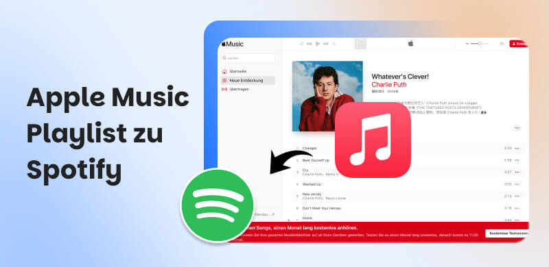Apple Music Playlist zu Spotify übertragen