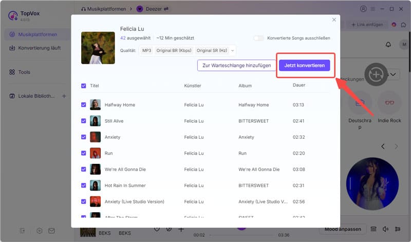 Musik konvertieren