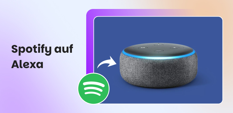 Spotify auf Alexa abspielen