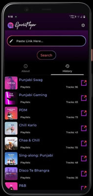 Spotify Musik mit Spotiflyer downloaden