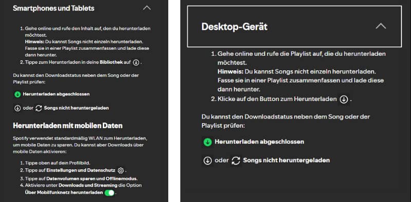 Spotify Musik herunterladen