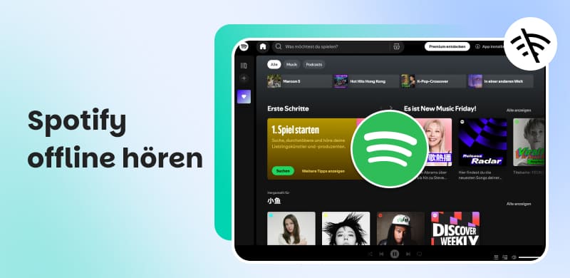 Spotify Offline Hören