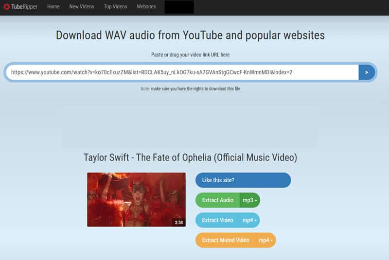 WAV-Format bei TubeRipper.cc auswählen