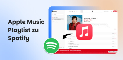 Apple Music Playlist Zu Spotify